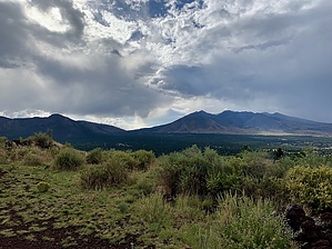 feature photo