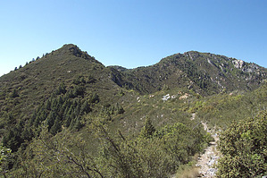 feature photo