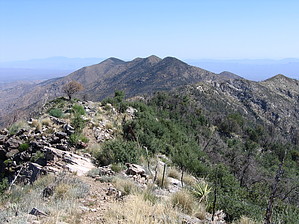 feature photo