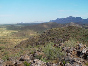feature photo