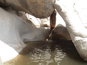 feature photo