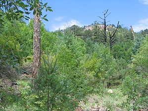feature photo
