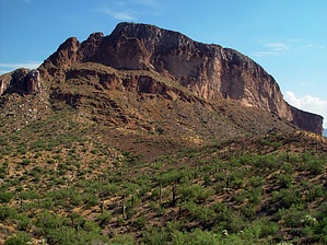 feature photo