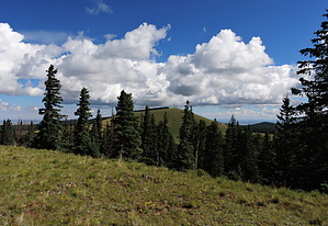 feature photo