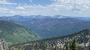feature photo