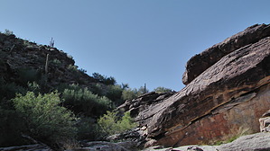 feature photo