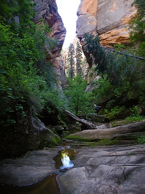 feature photo