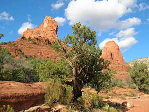feature photo