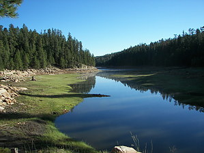 feature photo