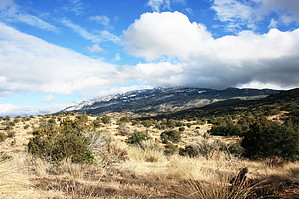 feature photo