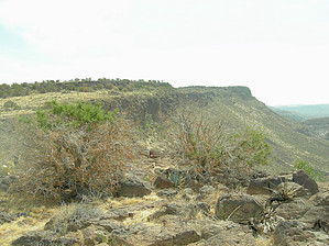 feature photo