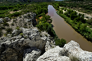 feature photo