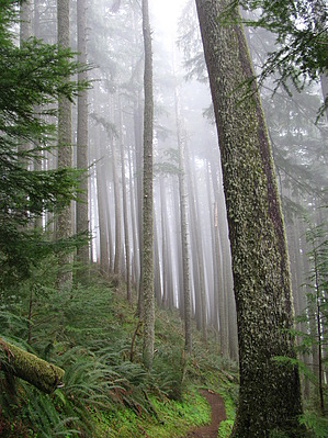 feature photo