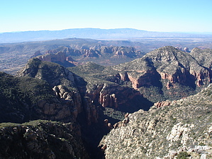 feature photo