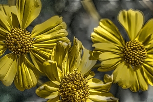 feature photo
