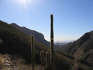 feature photo