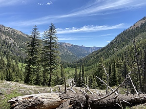 feature photo