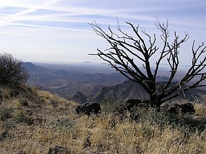 feature photo