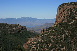 feature photo