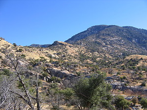 feature photo