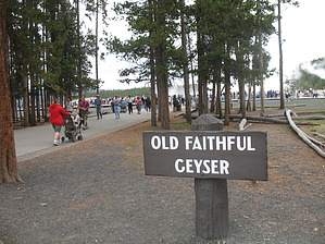 feature photo