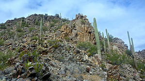 feature photo