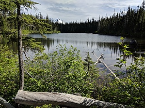 feature photo