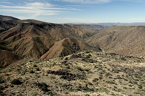 feature photo