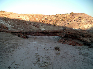 feature photo