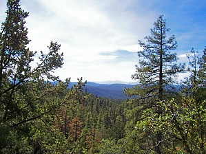 feature photo