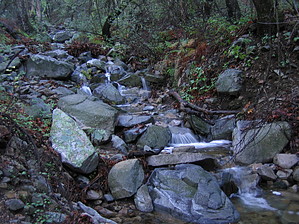feature photo