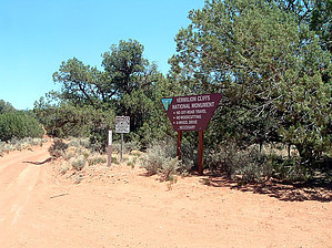 feature photo