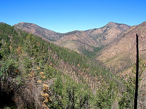 feature photo