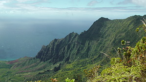 feature photo