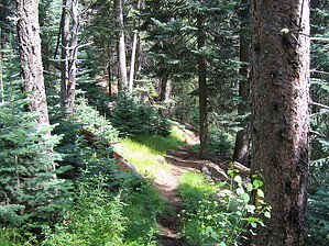 feature photo