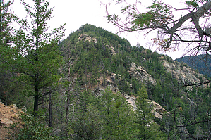 feature photo