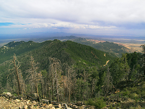feature photo