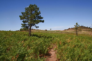 feature photo