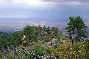 feature photo