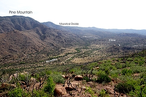 feature photo