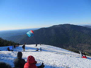 feature photo