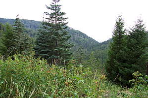 feature photo