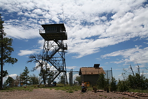 feature photo