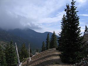 feature photo