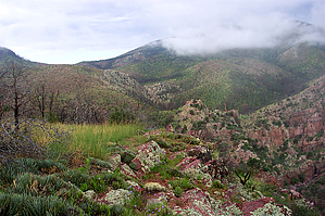 feature photo