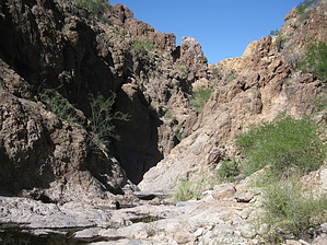 feature photo