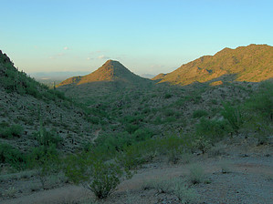 feature photo