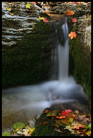 feature photo