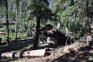 feature photo