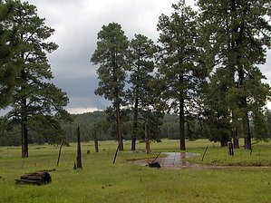 feature photo